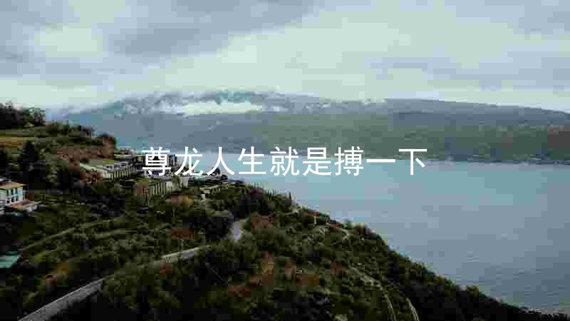 尊龙人生就是搏一下