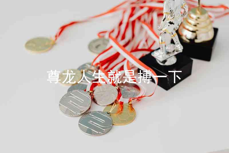 尊龙人生就是搏一下