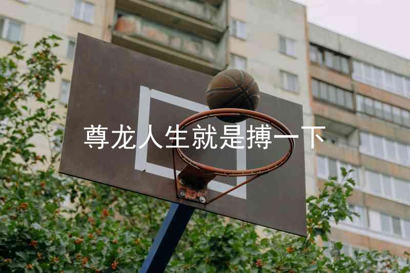 尊龙人生就是搏一下