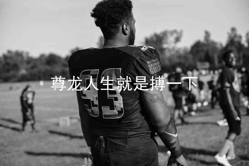 尊龙人生就是搏一下