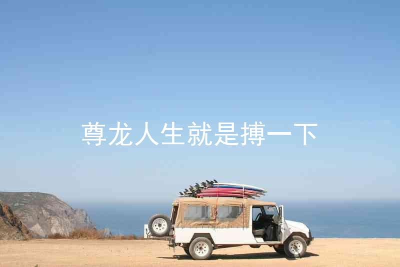尊龙人生就是搏一下