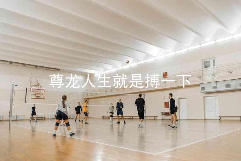 尊龙人生就是搏一下