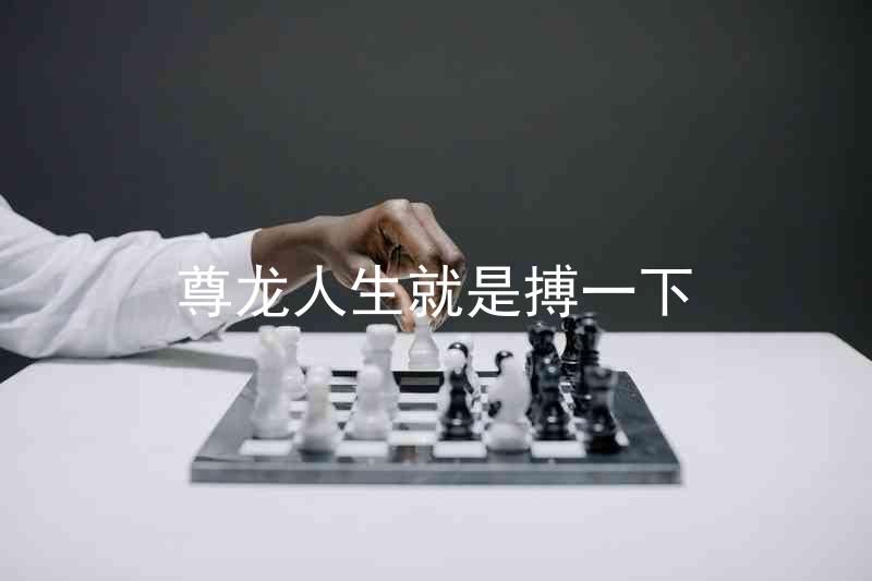 尊龙人生就是搏一下