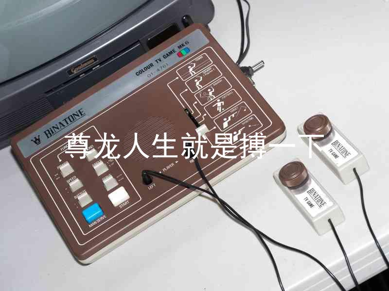 尊龙人生就是搏一下